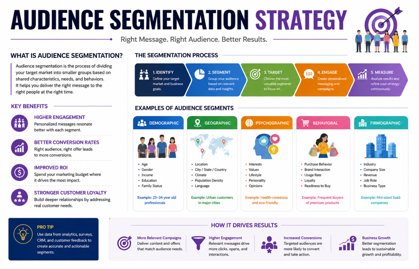 Audience Segmentation Strategy