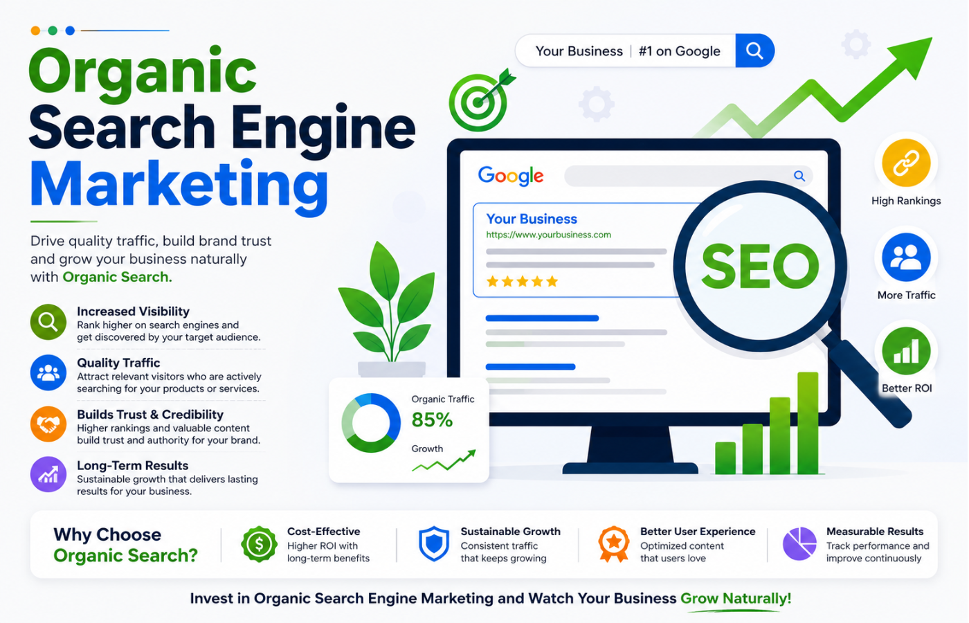 Organic search engine marketing